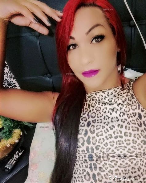 Acompanhantes Trans e Travestis em Caraguatatuba